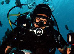 Traser H3 Diver Tritium Watches