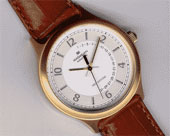 Maximilian Radio Controlled Atomic Watch 5850-1